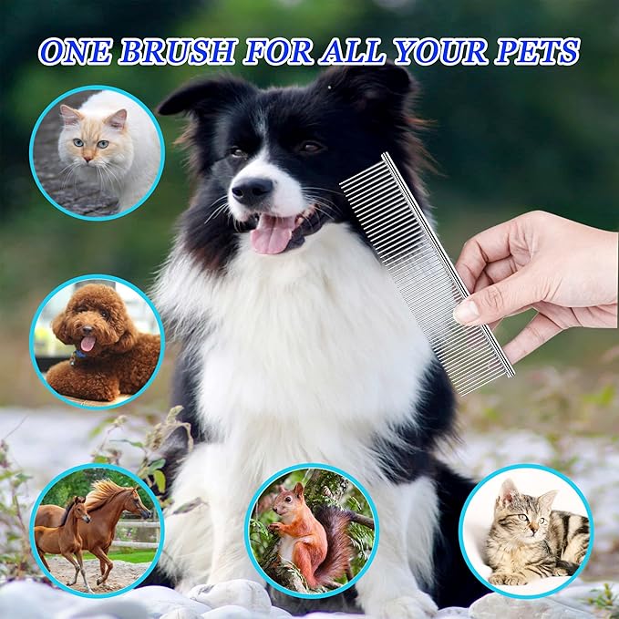 Dog Comb and Cat Combs Stainless Steel Teeth, Grooming Tool for Long & Short Hair, Dematting Comb for Dogs, Removes Tangles & Knots (Large Silver)