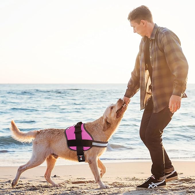 Dogline Reflective No-Pull Adjustable Vest with Handle for Walking, Training, Service Breathable No - Choke Harness for Small, Medium or Large Dogs Room for Patches Girth 15 to 18 in Pink