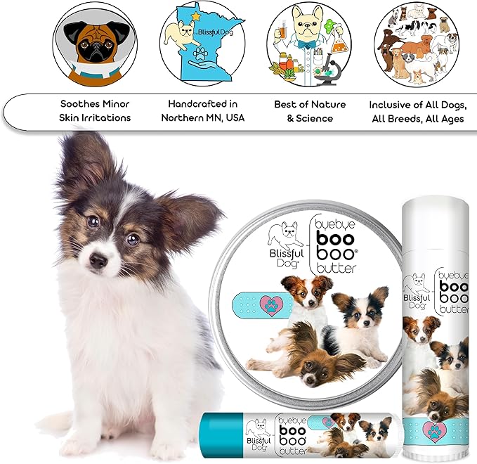 The Blissful Dog Papillon Boo Boo Butter, 4-Ounce