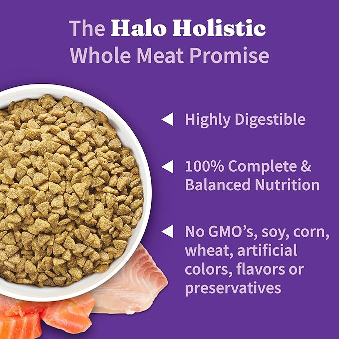 Halo Holistic Kitten Food, Wild Caught Salmon & Whitefish Recipe, Grain Free Dry Cat Food, Complete Digestive Health, 6 lb Bag