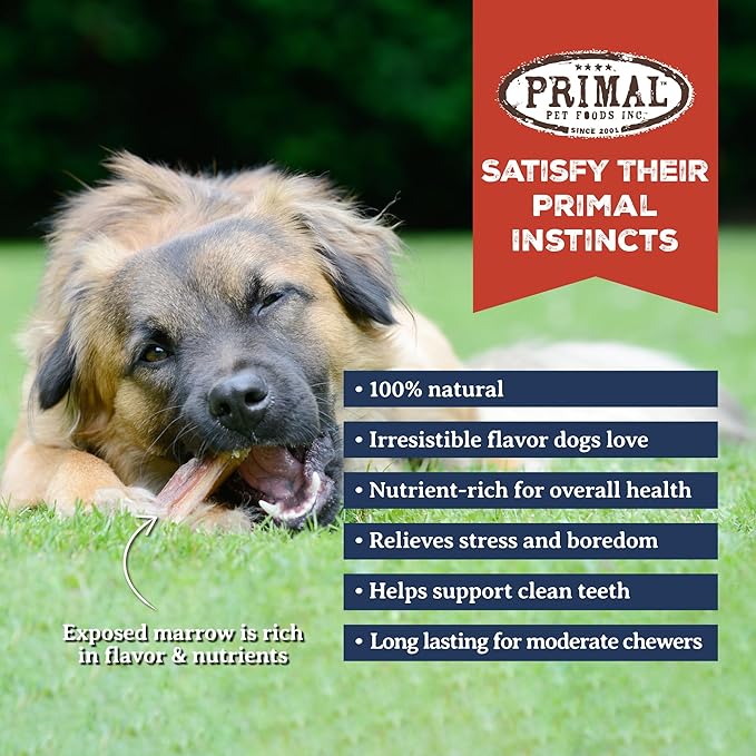 Primal Antlers for Dogs, Grade A Split Moose Antlers for Large Canines 45-60 lb, Natural Chews for Aggressive Chewers, Naturally Shed, Long Lasting Dog Bones, 1 ct