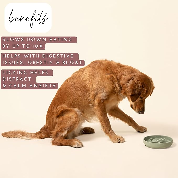 The Slowdown Bowl Silicone Slow Feeder for Dogs & Puppies, Slow Eating Modern Lick Mat Design, Reduces Gulping, Fits 2 Cups 7.5” Across x 1.5” Tall, Mealtime Challenge, Medium-Charcoal
