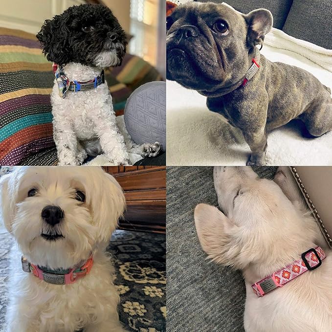 Personalized Engraved Name Tag - Silent No Noise - Custom Slide On ID Tags for Dogs and Cats - Small, Medium, Large Sizes