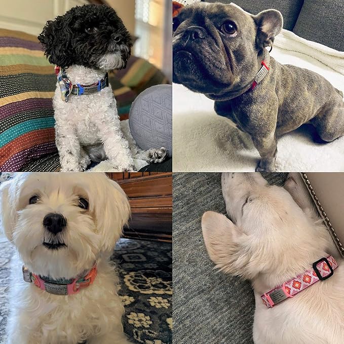 Personalized Dog Name Tag - No Noise - Engraved & Slide On - Custom Collar Tags for Small, Medium, Large Dogs & Cats