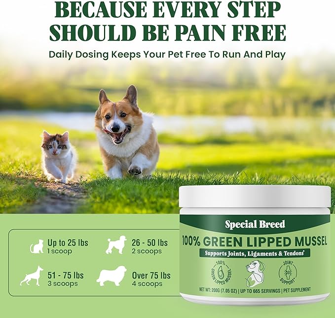 Special Breed Green Lipped Mussel Powder for Dogs & Cats - 100% New Zealand Green Lipped Mussels - Natural Hip & Joint Supplement for Joints, Tendons, Ligaments, Muscles - 200 Grams - 665 Servings