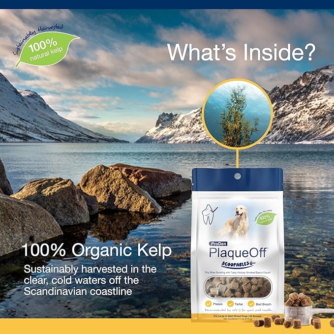 ProDen PlaqueOff Scoopables - Hickory Smoked Bacon Flavor Dental Bites for Large Dogs, Natural Kelp for Plaque & Tartar Control, Freshens Breath -Large & Giant Breed Dental Care- 45 Scoops