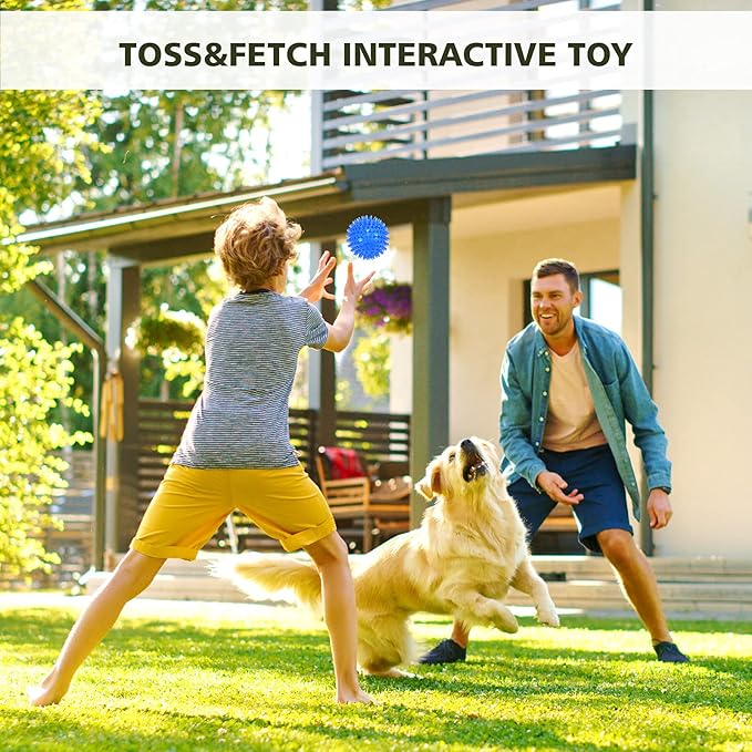 Petizer 3 Pack 2.5" Squeaky Toy Balls, Floating Pool Balls, Spiky Water Toys, Durable Interactive Fetch Toys for Puppy, Chew Toys for Teething (Small Dog)