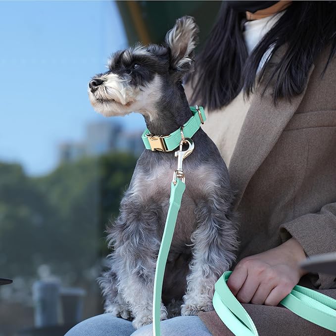 PET ARTIST Soft PU Leather Dog Collar, Bright Color & Durable Dog Collar Leather with Rose Gold Quick Release Metal Buckle, Adjustable Nylon Padded Pet Collars for Medium Dogs, Neck Fit 13-19"