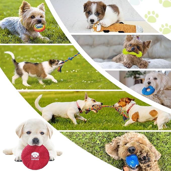 KIPRITII Puppy Toys for Dog Teething -25 Pack Various Puppy Chew Toys with Rope Toys, Dog Treat Balls & Squeaky Toy for Puppy and Small Dogs
