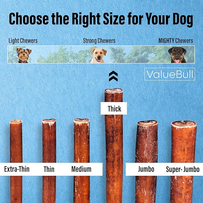 ValueBull Bully Sticks for Dogs, Thick 6 Inch, 200 Count Bulk Pack - All Natural, Grass Fed, Single Ingredient, Long Lasting Dog Treats
