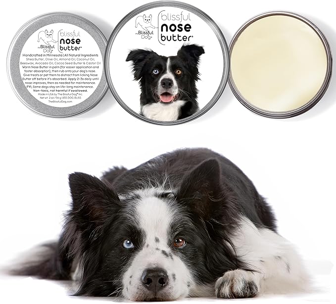 The Blissful Dog Border Collie Nose Butter for Dry, Cracked Skin, Lick-Safe Dog Nose Balm with Moisturizing Shea Butter, Almond, Olive, and Essential Oils, Pet Supplies, Uncented, 8 oz.