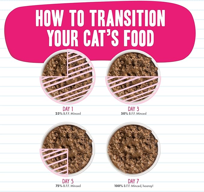 Weruva BFF Minced Natural Wet Cat Food, Tuna and Chicken 4 Eva in Gravy, 10oz Can, Pack of 12