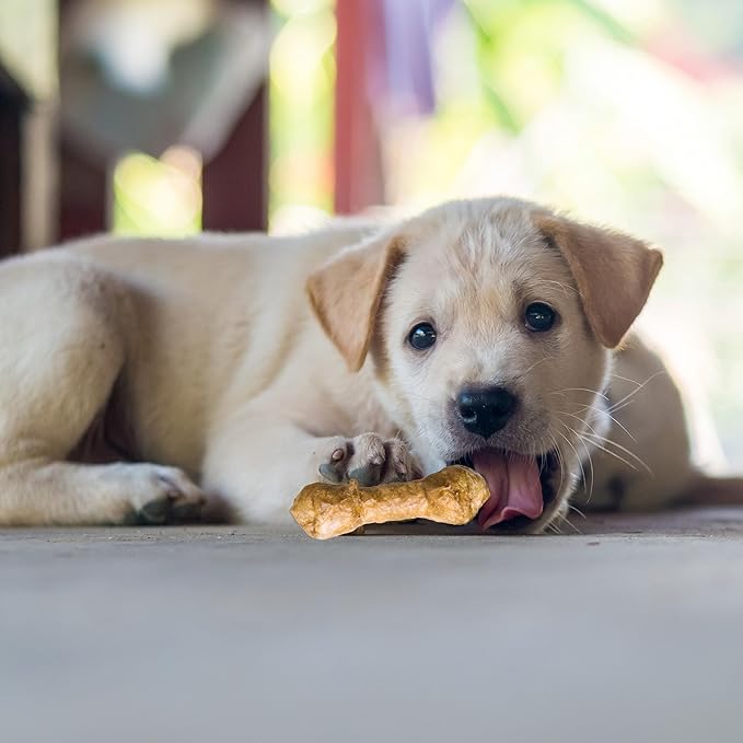 Fieldcrest Farms Nothin' to Hide 3 inch Ultra Knotted Bone Treats - Natural Rawhide Alternative Treats for Dogs, Collagen Based Snack for Heavy Chewers up to 15lbs - Chicken Flavor, 12 Pack