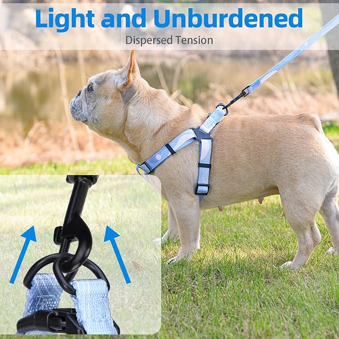 PUPTECK No Pull Dog Harness Soft Adjustable Basic Nylon Step in Puppy Vest Outdoor Walking with Leash