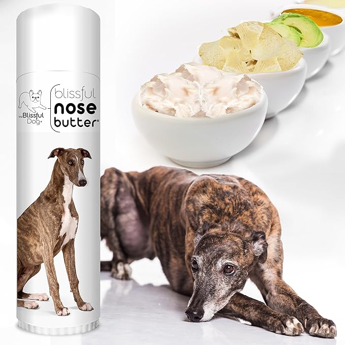 The Blissful Dog Greyhound Unscented Nose Butter - Dog Nose Butter, 0.50 Ounce