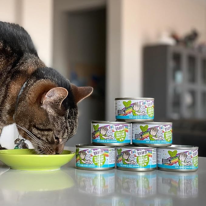 Weruva B.F.F. OMG - Best Feline Friend Oh My Gravy!, Variety Pack, Rainbow Road, Wet Cat Food by, 2.8oz Can (Pack of 12)