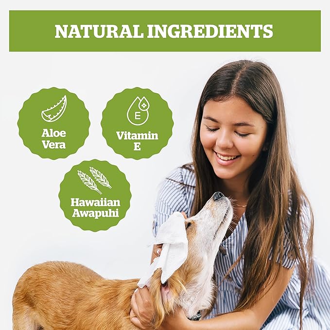 Pogi’s Dog Wipes Travel Packs – Hypoallergenic Pet Wipes for Paws, Body & Butt – Cleaning & Hydrating, Fragrance Free, 240-Count