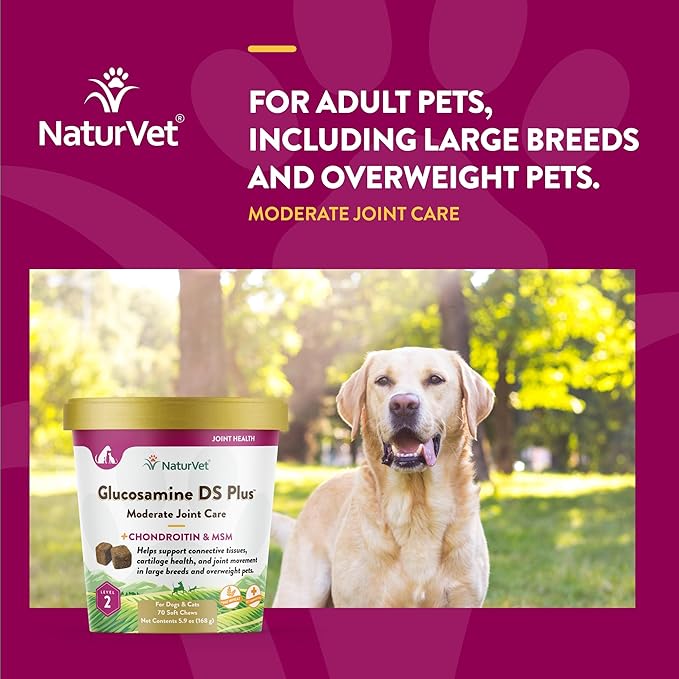 NaturVet – Glucosamine DS Plus - Level 2 Moderate Care – Supports Healthy Hip & Joint Function – Enhanced with Glucosamine, MSM & Chondroitin – for Dogs & Cats–70 Soft Chews