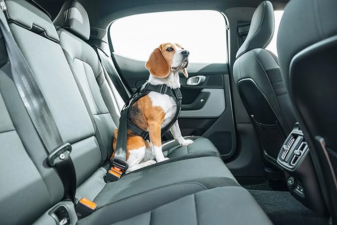 Thule Cappy Dog Harness L - Crash-Tested for Safety - Seatbelt passthrough - Adjustable & Easy to Clean - Padded Breathable mesh Panels - Leash Loop - Step-in Design