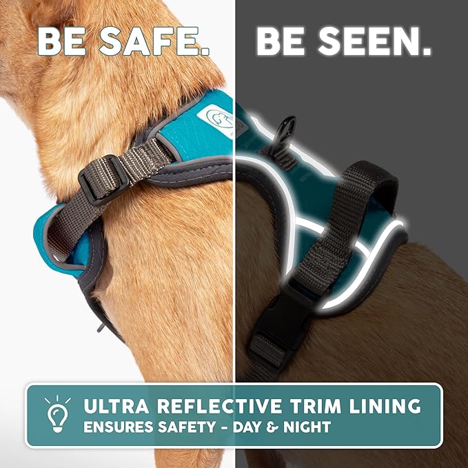 Embark Adventure Dog Harness, Reflective Trim XL Dog Harness for Extra Large Dogs No Pull - Military Grade Nylon, 2 Leash Clips & Gel Lined Handle. Soft & Padded Puppy