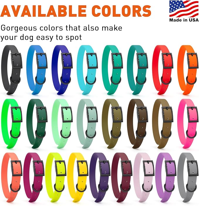 Dogline Biothane Waterproof Dog Collar Strong Coated Nylon Webbing with Black Hardware Odor- Proof for Easy Care Easy to Clean High Performance Fits Small Medium or Large Dogs, Violet Purple