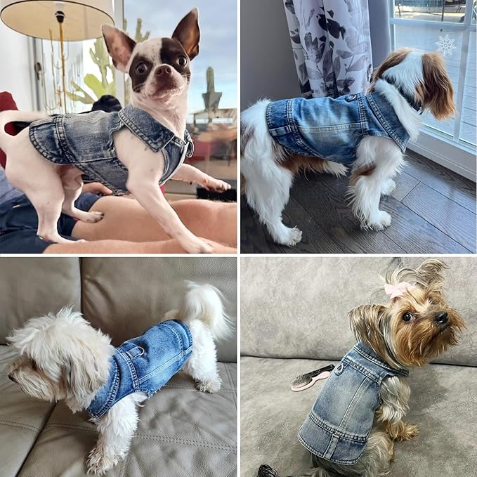 Puppy Clothes for Small Dogs Boy,Classic Western Denim Dog Coat,Dog Jeans Jacket with Leash D-Ring,Pet Cat Costumes,Cooling Harness Vest for Walking (Blue, Small)