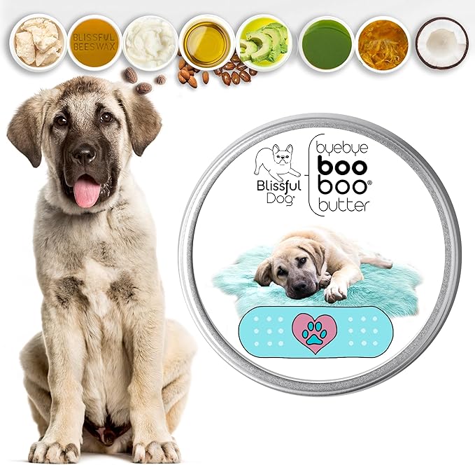 The Blissful Dog Anatolian Shepherd Boo Boo Butter, 16 Ounce