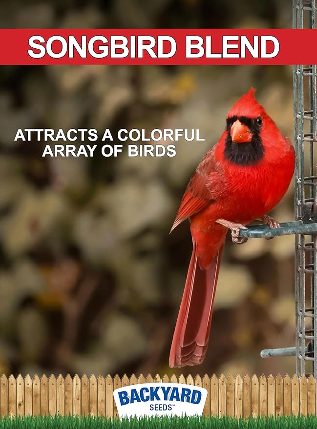CountryMax Backyard Seeds Songbird Blend Wild Bird Seed – 50 lb Bag – Premium Mix with Sunflower Seeds, Safflower, Peanuts, Millet – Attracts Cardinals, Finches, Chickadees, and More