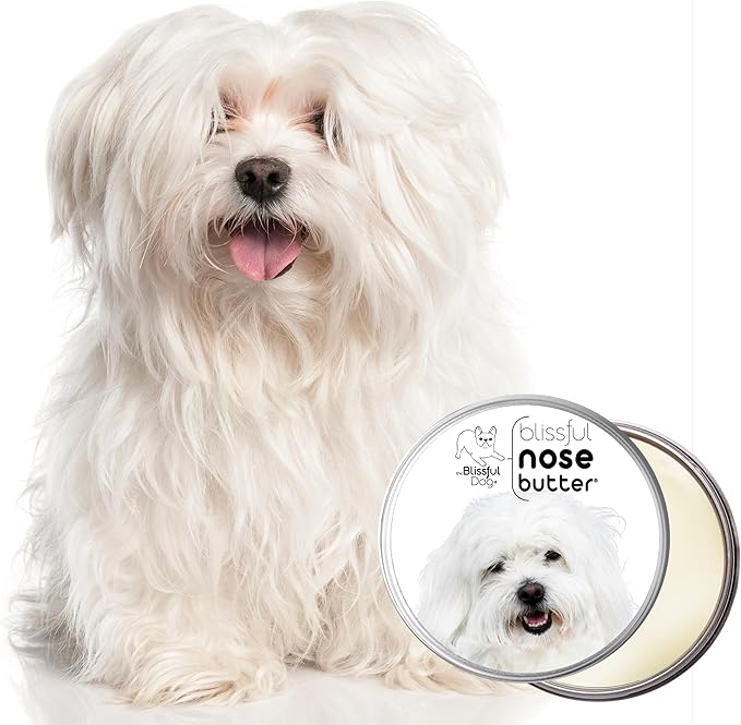 The Blissful Dog Coton de Tulear Unscented Nose Butter, 16oz
