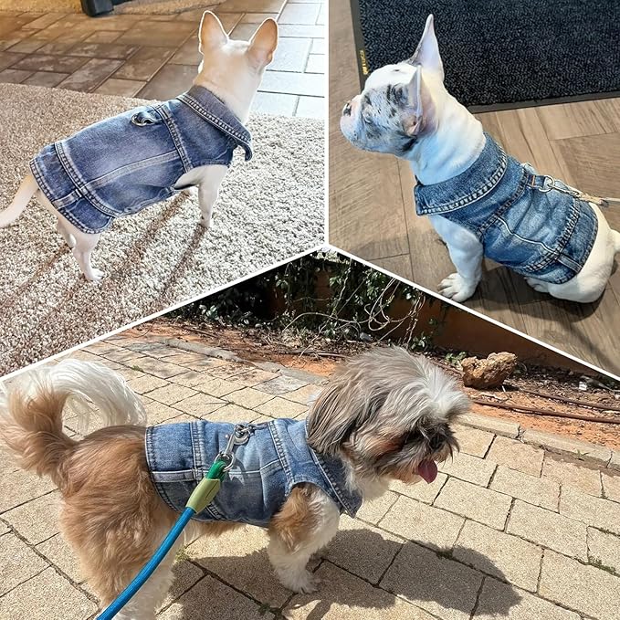 Puppy Clothes for Small Dogs Boy,Classic Western Denim Dog Coat,Dog Jeans Jacket with Leash D-Ring,Pet Cat Costumes,Cooling Harness Vest for Walking (Blue, Medium)