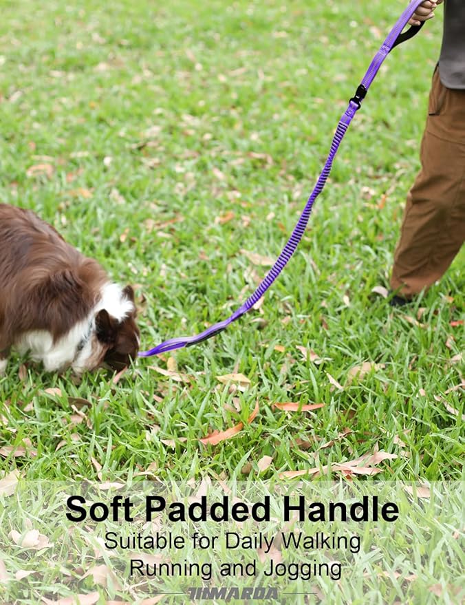 Heavy Duty Dog Leash, 4-6FT Shock Absorbing Dog Leashes with Traffic Handle and Comfortable Padded Handles, Advanced Easy Metal Clip, No Pull Reflective Leash for Medium Large Dogs That Pull (Blue)