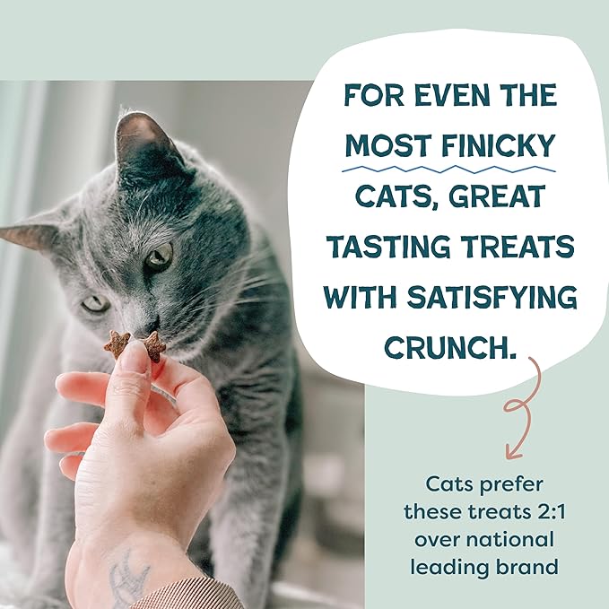 Shameless Pets Crunchy Cat Treats - Kitty Treats with Natural Salmon, Healthy Yam Good Flavors - 3-Pk