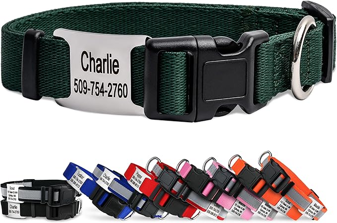 GoTags Personalized Dog Collar with Nameplate, Adjustable Dog Collar with Custom Engraved Slide On Pet ID Tag in Stainless Steel, Silent, No Noise Dog Tag (Hunter Green, X-Small)