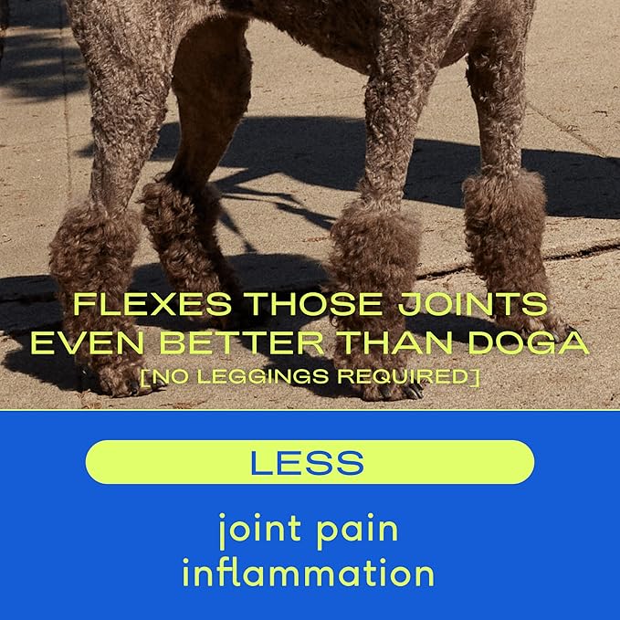 Native Pet Omega Oil for Dogs - Dog Fish Oil Supplements & Relief - Anti-Inflammatory Chews for Dogs | 60 Dog Chews | 8 oz. Omega Oil | Best Dog Arthritis Supplement & Dog Joint Pain Relief