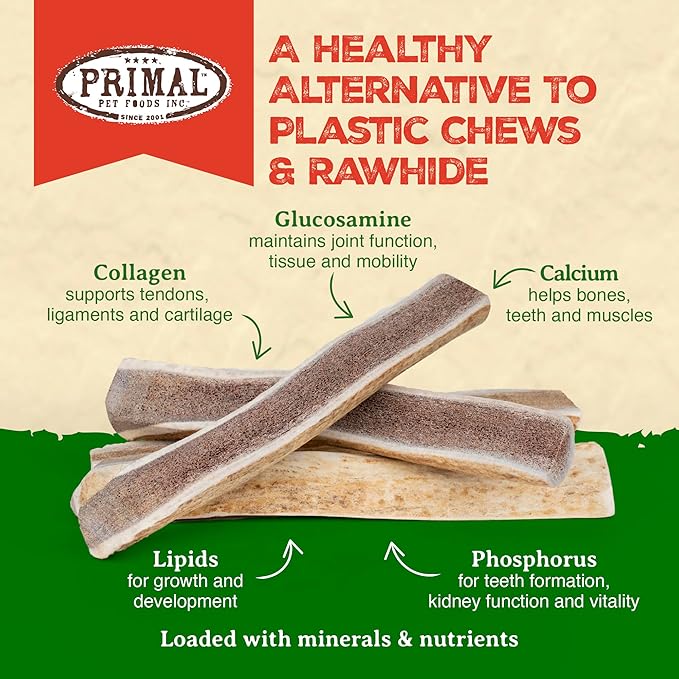 Primal Antlers for Dogs, Grade A Split Moose Antlers for Large Canines 45-60 lb, Natural Chews for Aggressive Chewers, Naturally Shed, Long Lasting Dog Bones, 1 ct