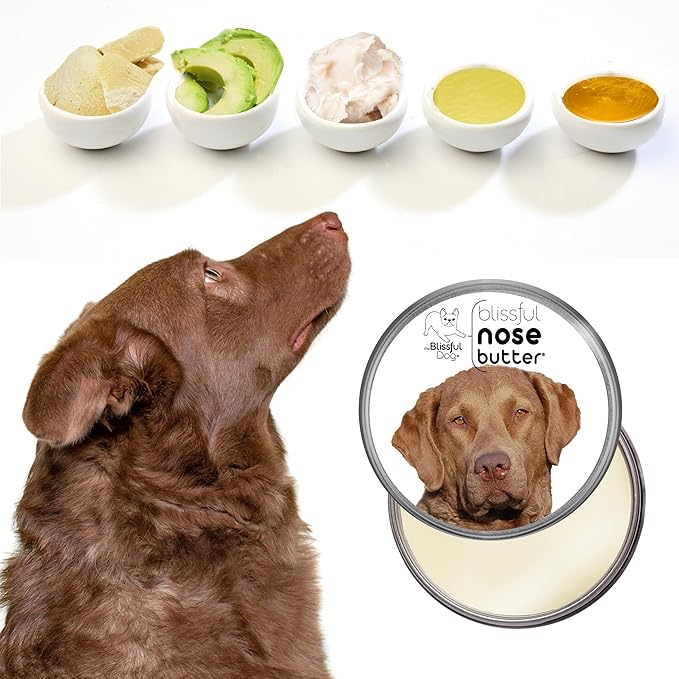 The Blissful Dog Chesapeake Bay Retriever Unscented Nose Butter, 1-Ounce