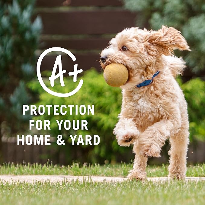 PetArmor Home Yard Spray for Dogs, Kills and Protects Against Fleas, Ticks, Mosquitoes, Ants, and Other Bugs, 32oz