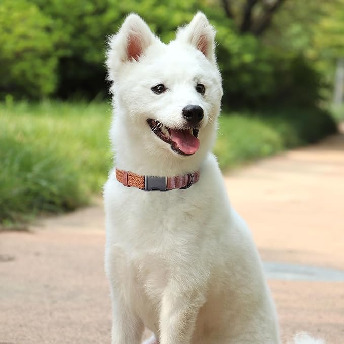 PET ARTIST Soft Cotton Dog Collar for Medium Dogs in Rustic Brown, Simple Dog Collar with Quick Release Metal Buckle & D Ring, M Size (13-21")