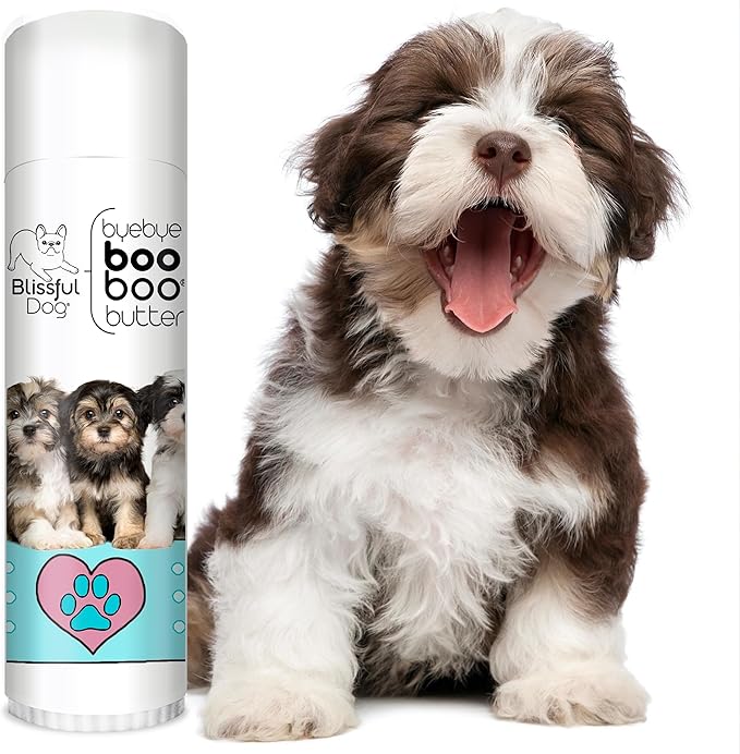 The Blissful Dog Havanese Boo Boo Butter, 0.50-Ounce