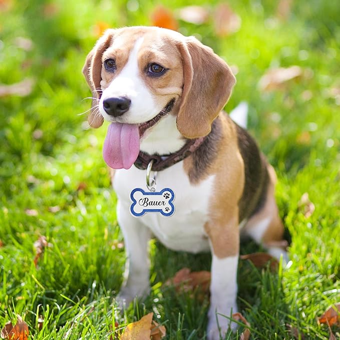 Dog Tags Personalized for Pets Dog Name Tags Personalized Dog Tag Engraved with Any Name & Text Custom Dog ID Tags Glitter Bone ID Tag for Puppy Cat (Purple S, Bone)