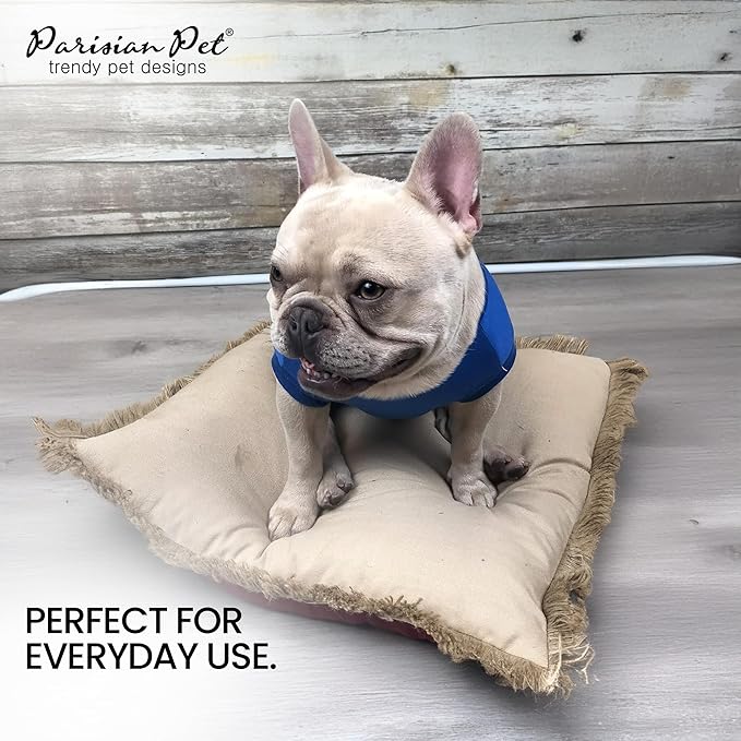 Parisian Pet Embroidered 'Worlds Champion' Dog Shirt - Lightweight Sleeveless Color Block Tee - Machine Washable, Medium Dogs