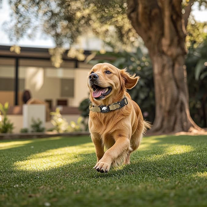 Tactical AirTag Dog Collar Leash Set - Heavy Duty, Adjustable GPS Collar Compatible with Apple AirTag, with Holder & Control Handle for Medium/Large Dogs [ Brown, L ]