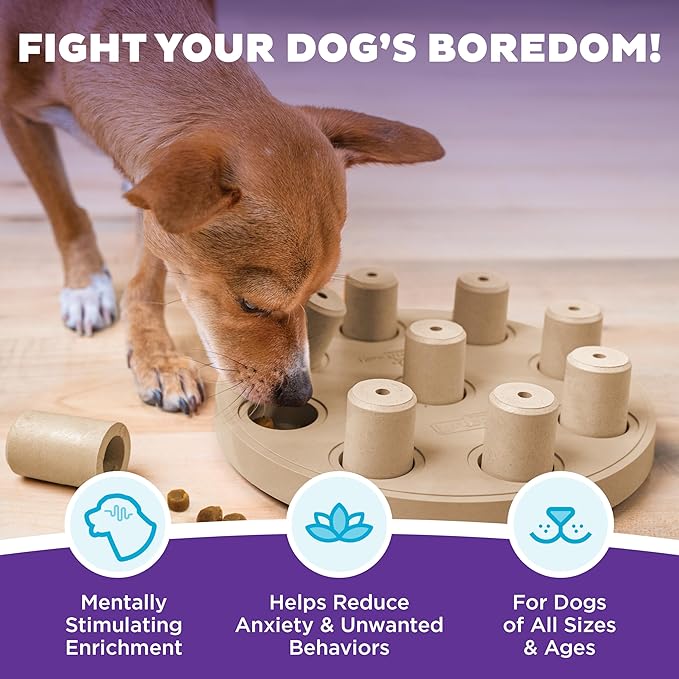 Outward Hound by Nina Ottosson Dog Smart Treat Puzzle Enrichment Toy, Level 1 Beginner, Tan, Composite