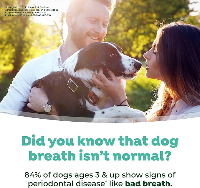 TropiClean Fresh Breath Dental Foam Spray for Dogs & Cats | Quick Breath Freshener and Teeth Cleaning Solution | Made in The USA | 4.5oz.