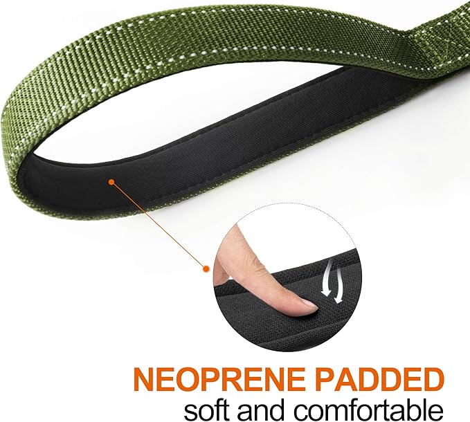 TwoEar 5FT 1IN Strong Green Dog Leash with 2 Padded Handles, Traffic Handle Extra Control, Comfortable Soft Dual Handle, Auto Lock Hook, Reflective Walking Lead for Small Medium and Large Dogs