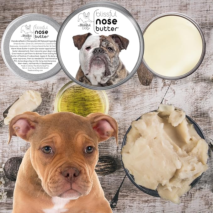 The Blissful Dog Olde English Bulldogge Nose Butter for Dry, Cracked Skin, Lick-Safe Dog Nose Balm with Moisturizing Shea Butter, Almond, Olive, and Essential Oils, Pet Supplies, Uncented, 2 oz.