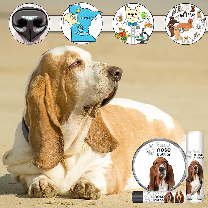 The Blissful Dog Basset Hound Nose Butter for Dry, Cracked Skin, Lick-Safe Dog Nose Balm with Moisturizing Shea Butter, Almond, Olive, and Essential Oils, Pet Supplies, Uncented, 0.50 oz.