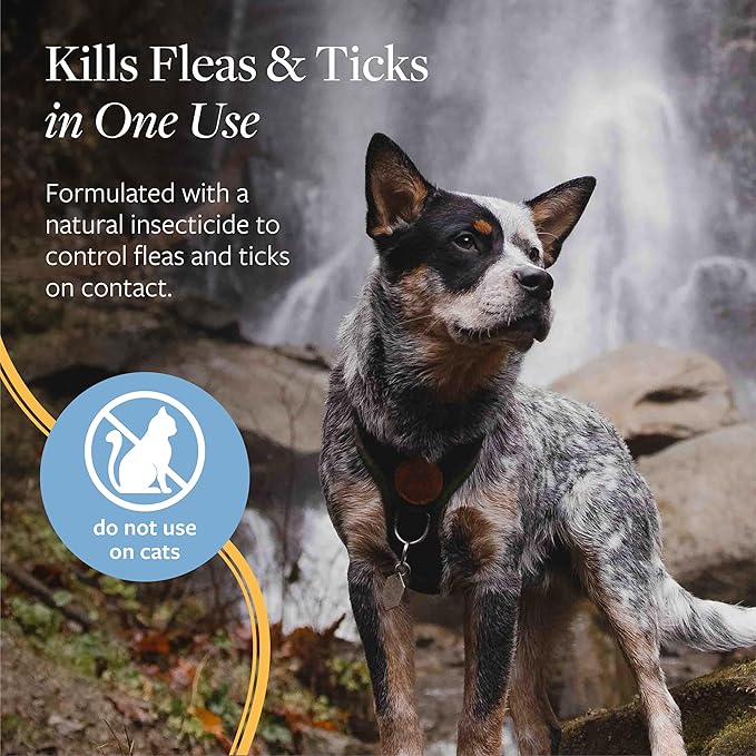 Veterinary Formula Flea and Tick Spray for Dogs, 8 oz – Easy-to-Use Dog Flea Spray, Kills on Contact, Prevents Egg & Larval Development for 14 weeks