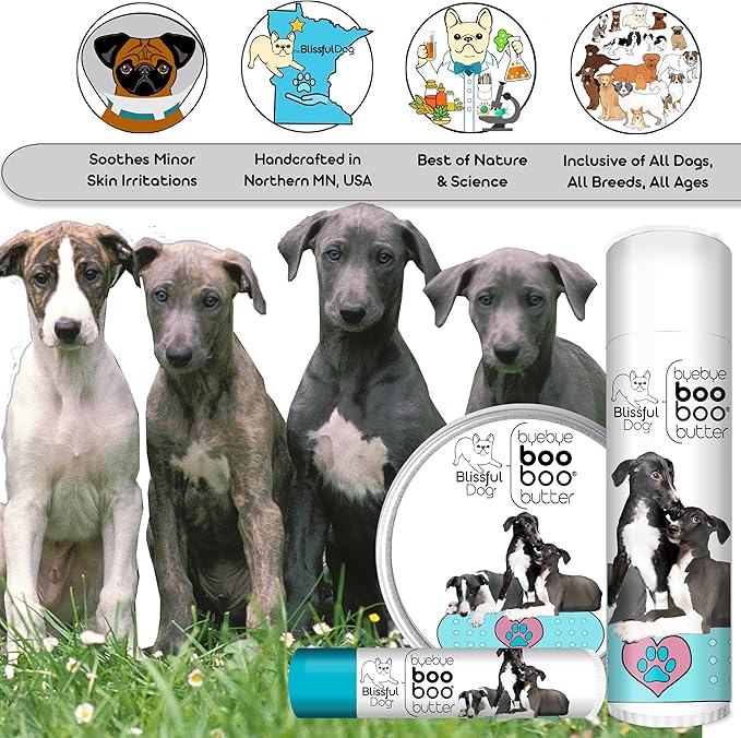 The Blissful Dog Greyhound Boo Boo Butter, 8-Ounce