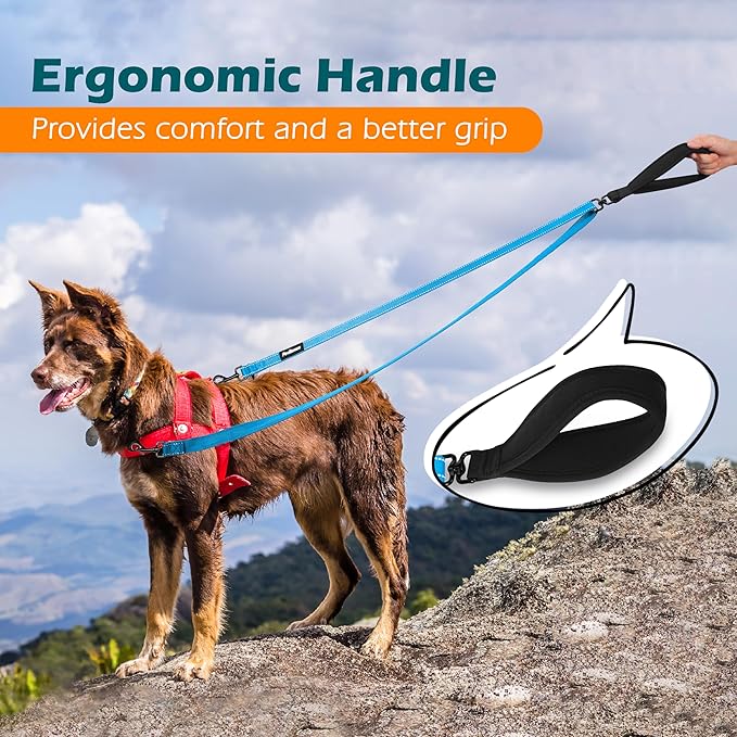 PetBonus Two Point Control Dog Leash, Works with No Pull Harnesses, No Tangle Training Leashes, Soft Padded and Reflective Walking Lead, Converts to Single Lead for Medium Large Dogs (Light Blue)